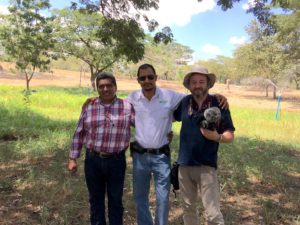Biogas